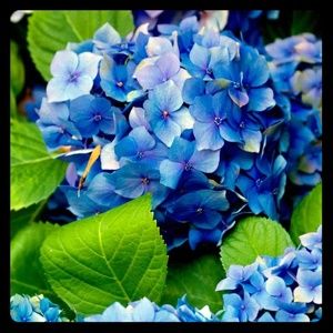 Meet your Posher, Gail